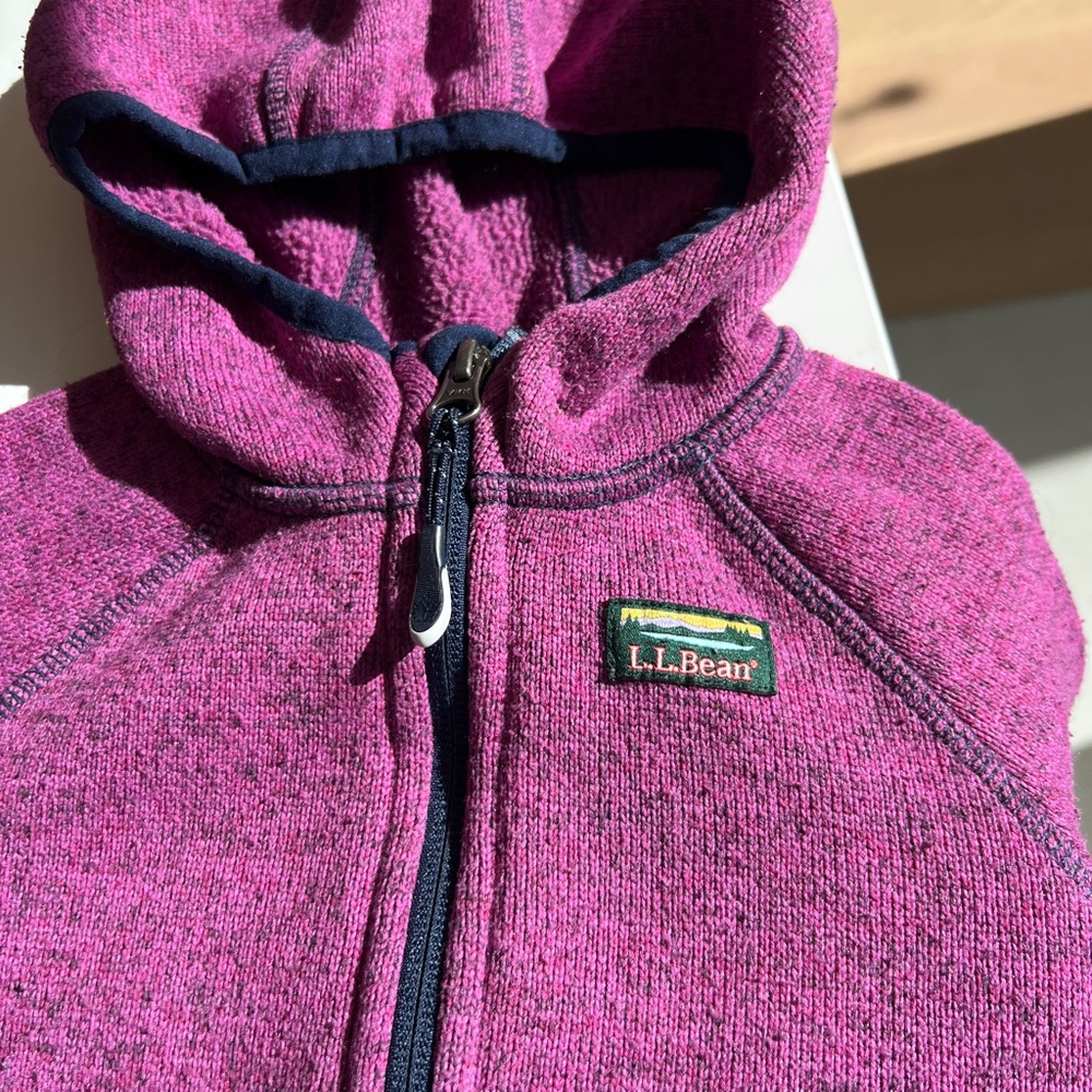 SOLD Kids' L.L.Bean Sweater Fleece, Hooded